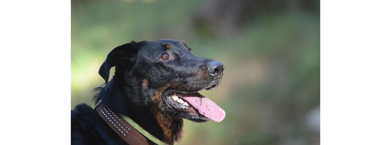 Greta all'aperto