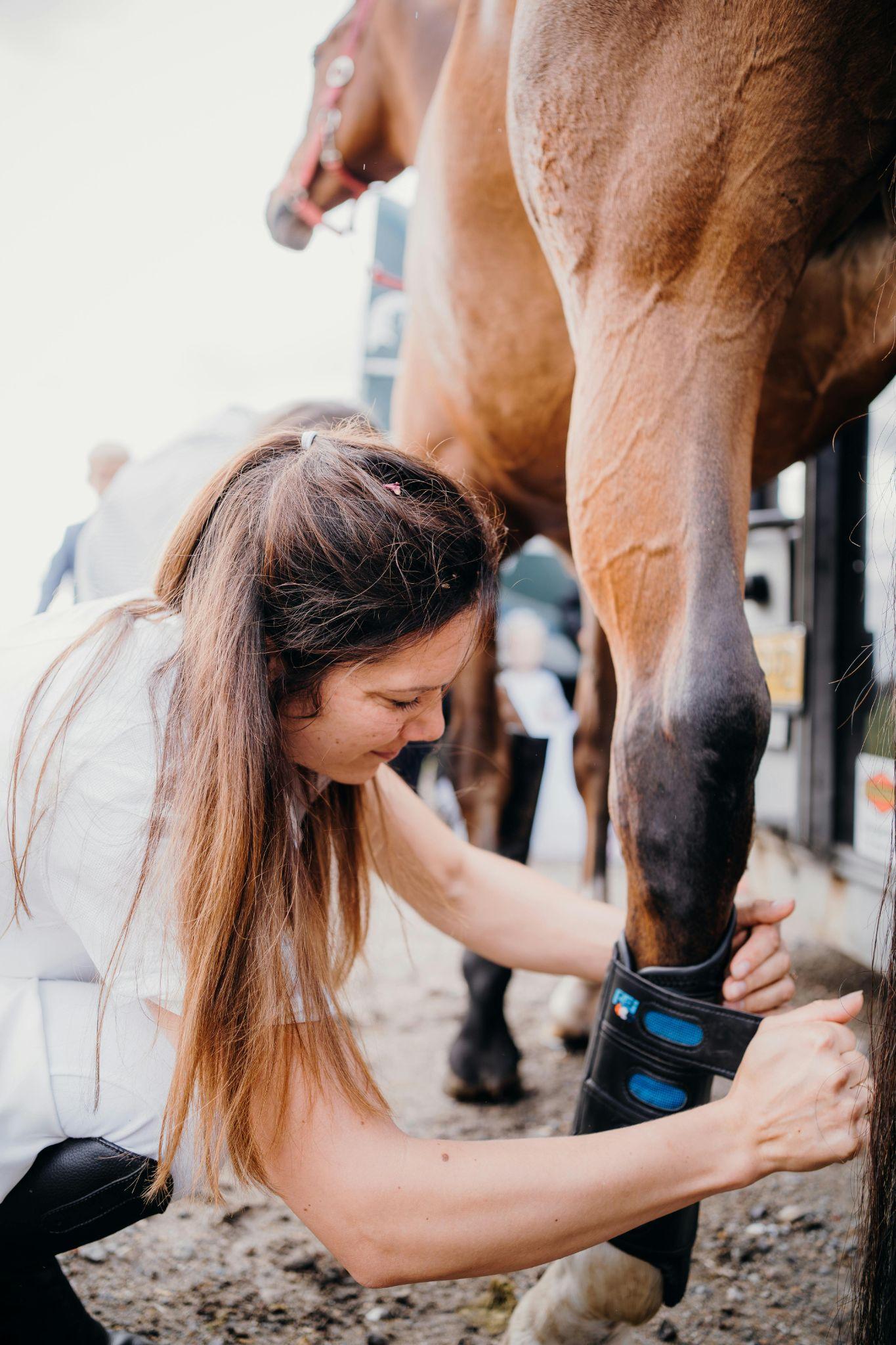 Veterinaria controlla la zampa di un cavallo