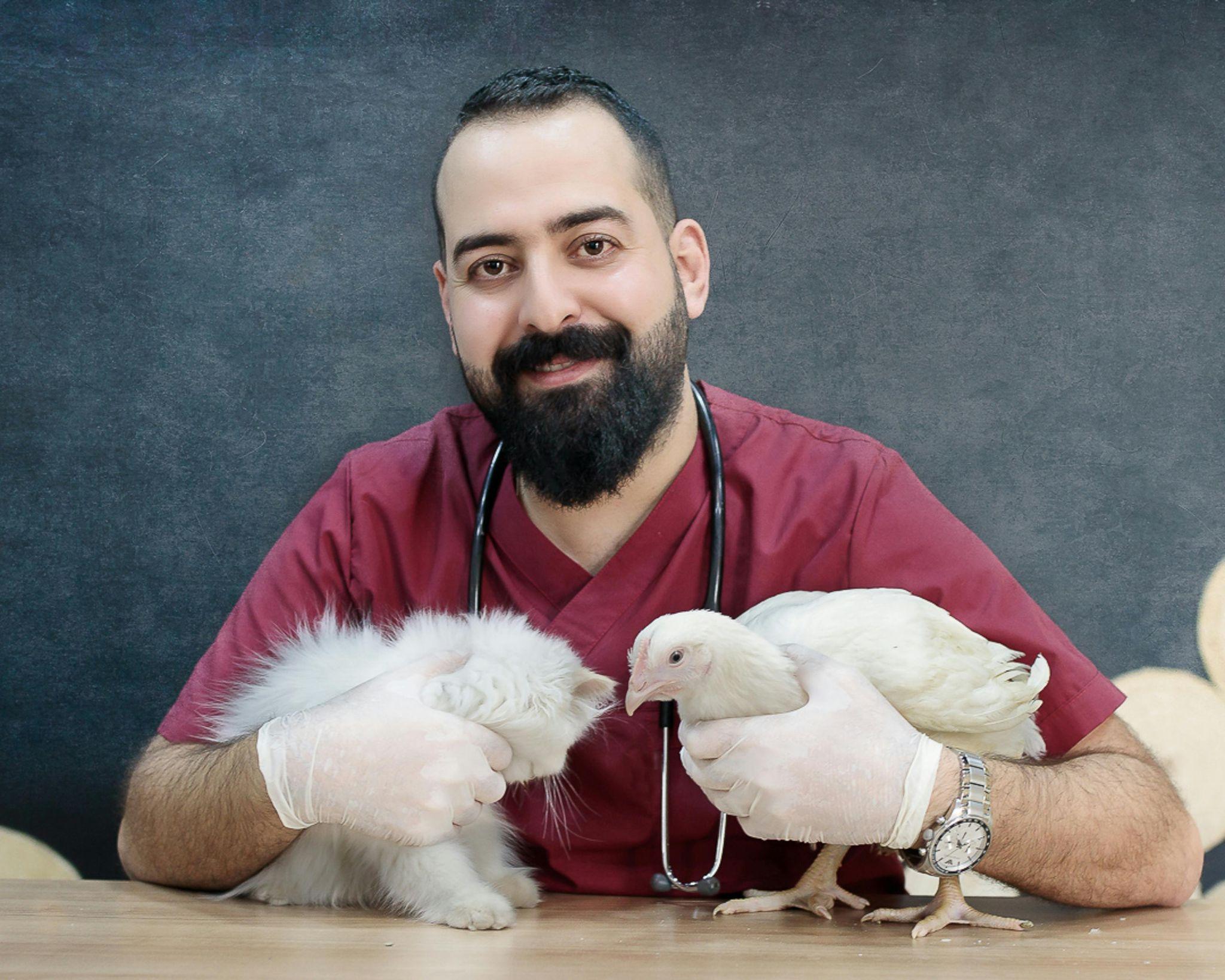 Veterinario con un gatto bianco e una gallina